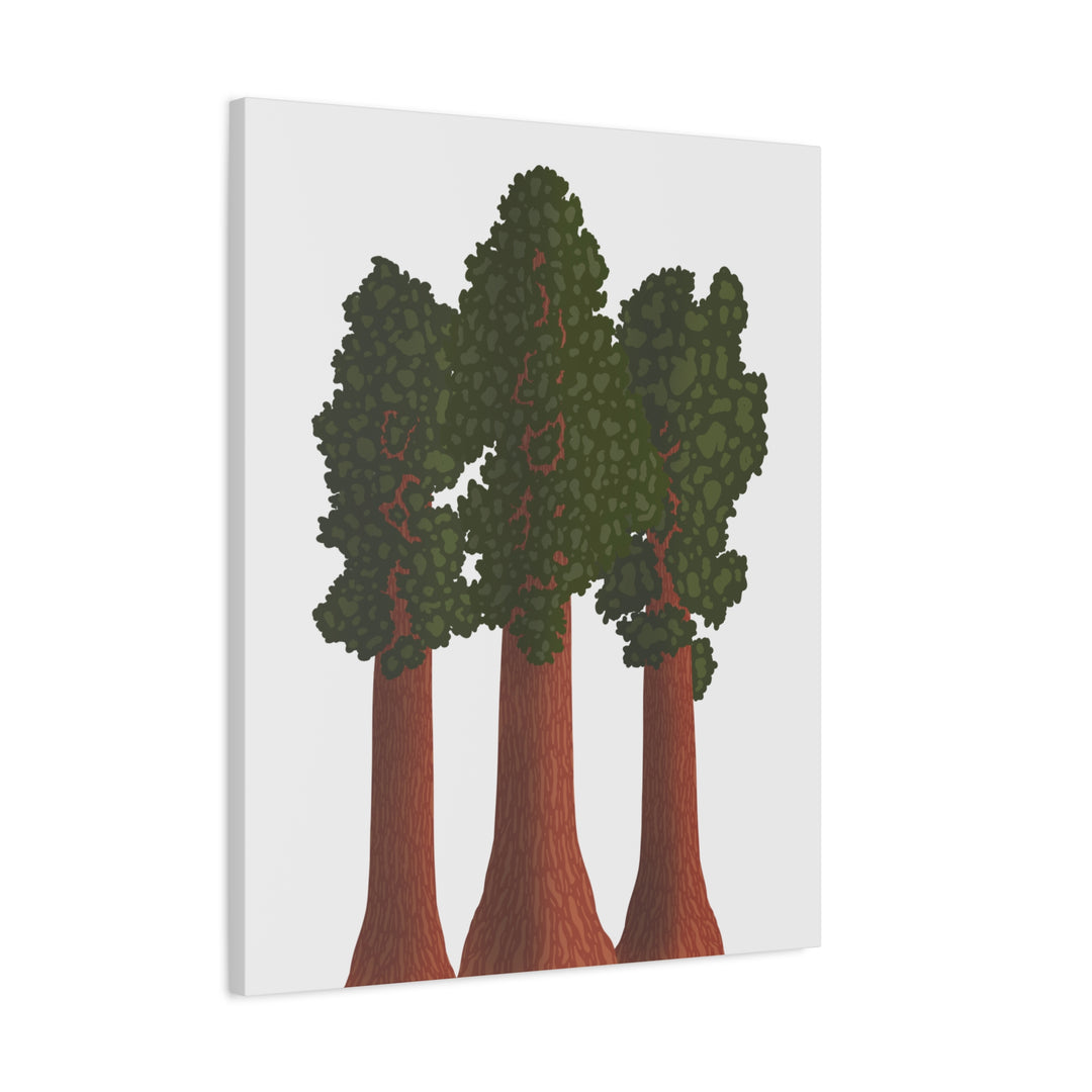 Giant Sequoias Canvas Print – Wall Art
