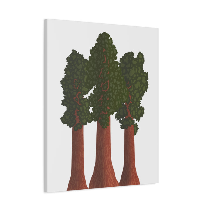 Giant Sequoias Canvas Print – Wall Art