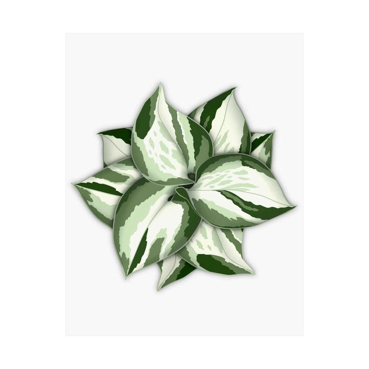 Manjula Pothos Print – Botanical Wall Art | Green Leaf Wall Decor | Unframed - The Potted Pixel
