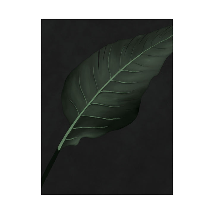 Bird of Paradise Botanical Print – Unframed Wall Art