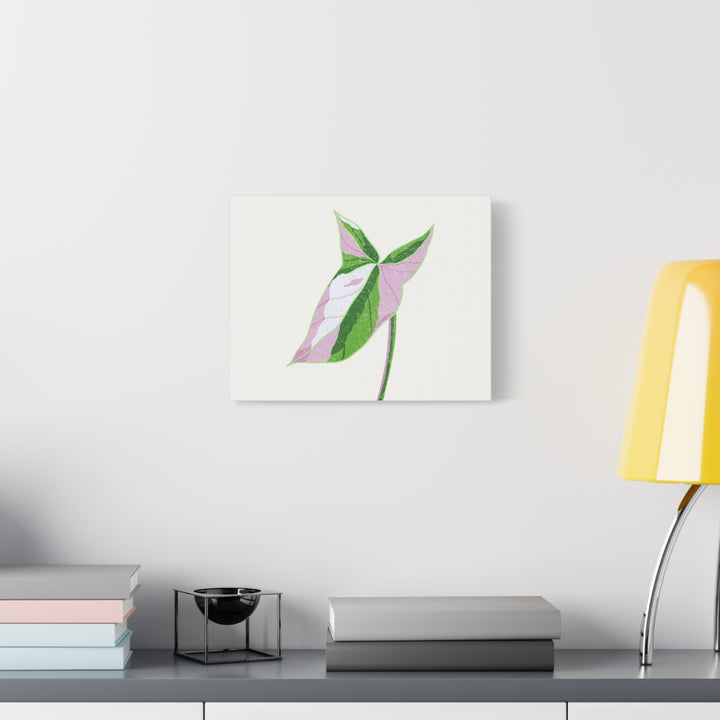 Syngonium Tricolor Canvas Print – Botanical Wall Art - The Potted Pixel
