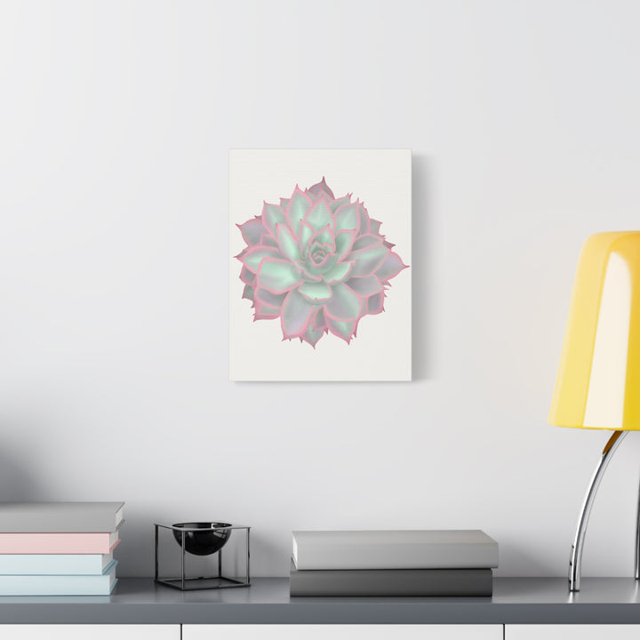 Echeveria Violet Queen Canvas Wall Art Rosette Succulent Print With Matte Finish