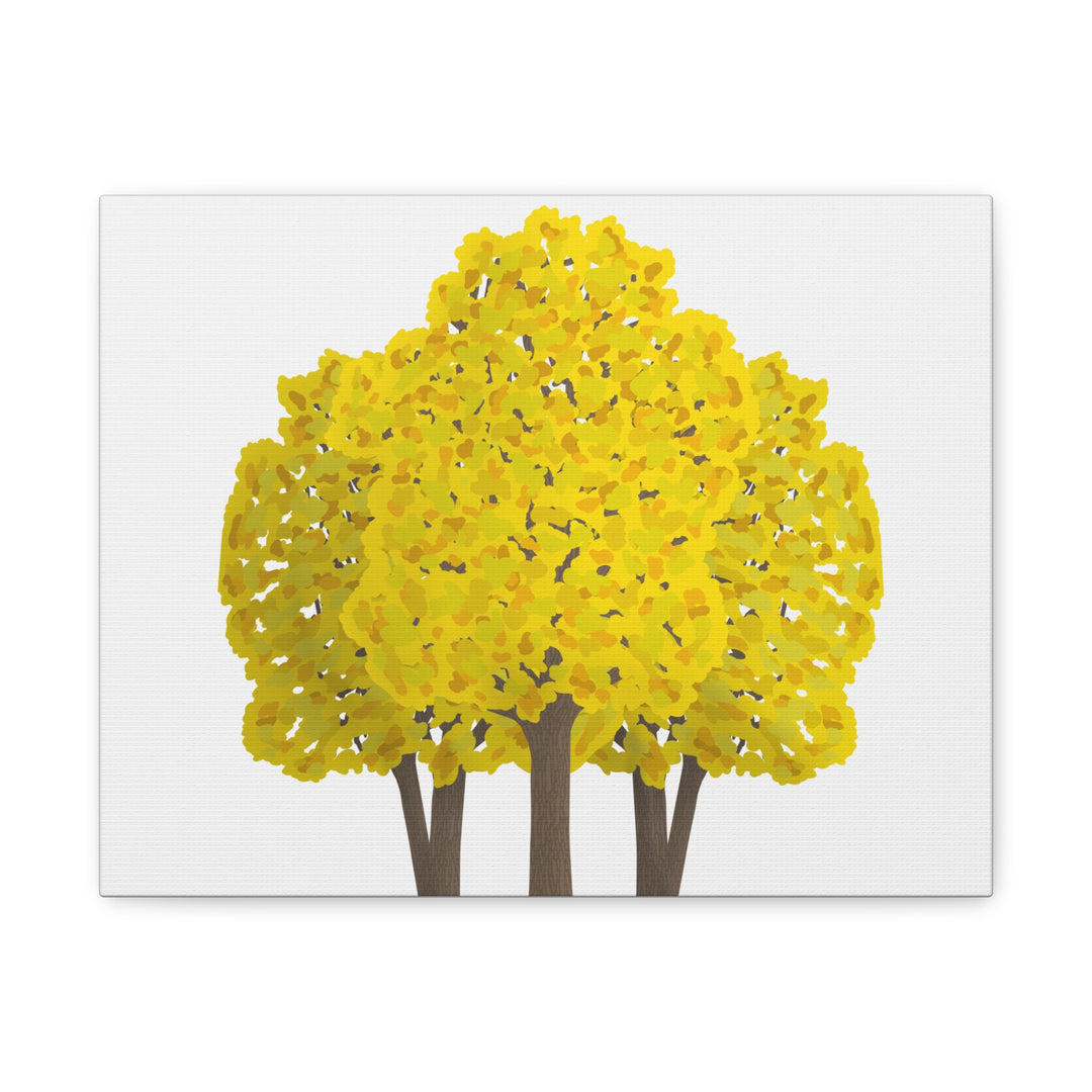 Big Leaf Maple Canvas Print – Wall Art
