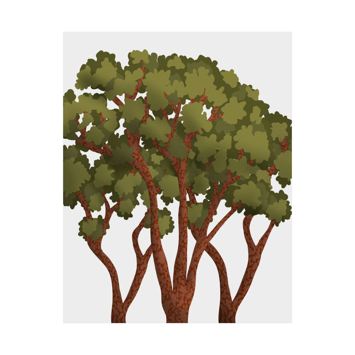 Pacific Madrone Print – Unframed Wall Art