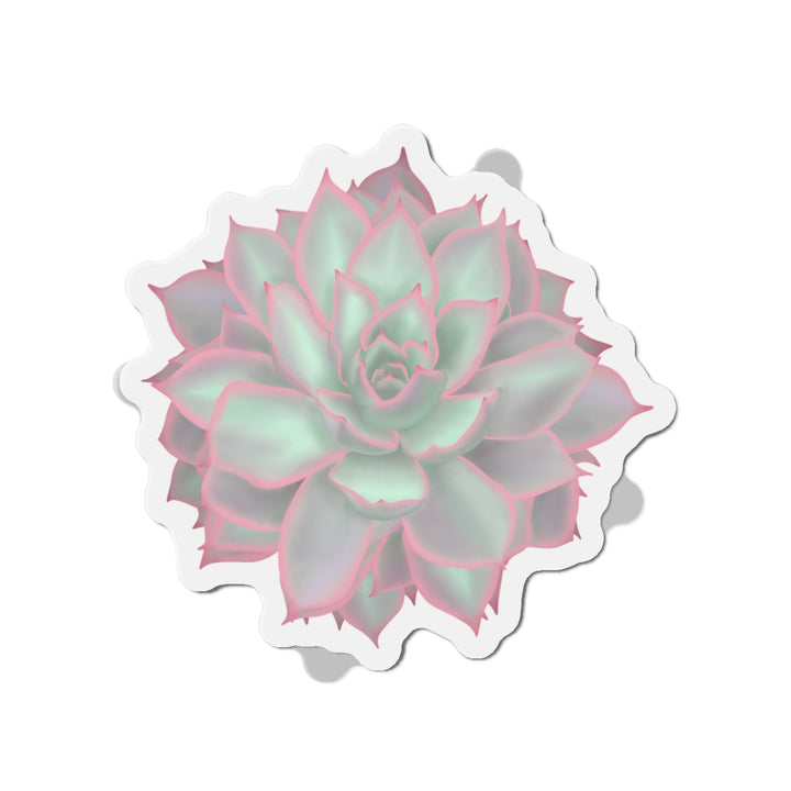 Echeveria Violet Queen Succulent Magnet