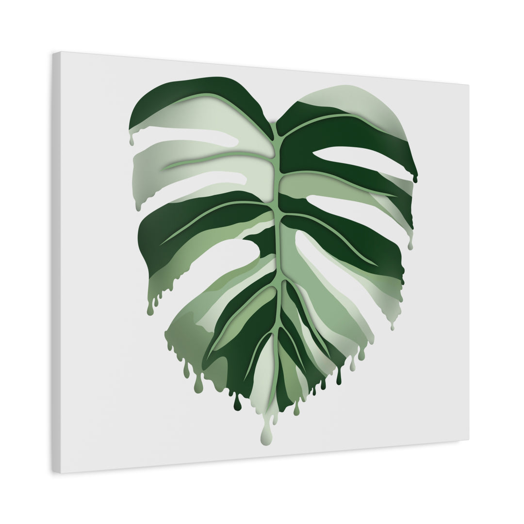Melting Monstera Albo Canvas Large Indoor Wall Art Print Matte Finish Tropical Home Decor