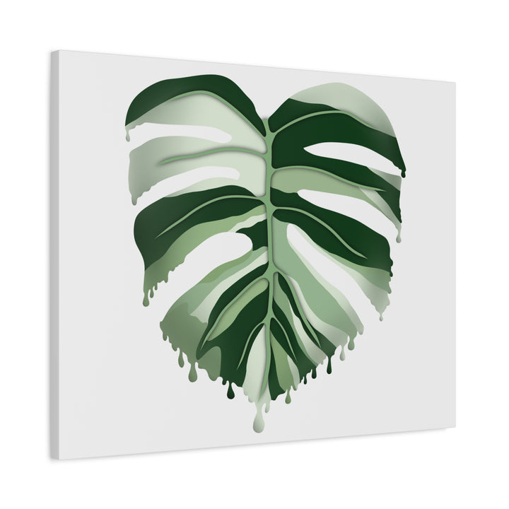 Melting Monstera Albo Canvas Large Indoor Wall Art Print Matte Finish Tropical Home Decor