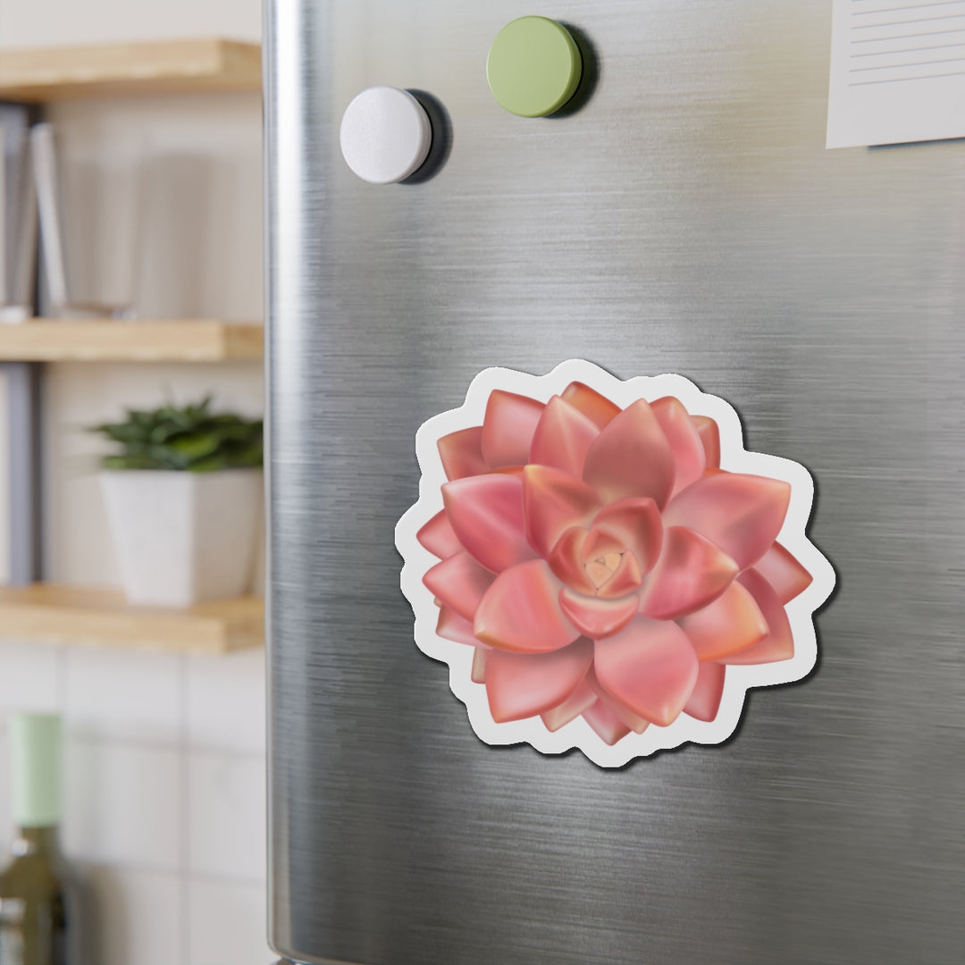 Graptosedum California Sunset Succulent Magnet