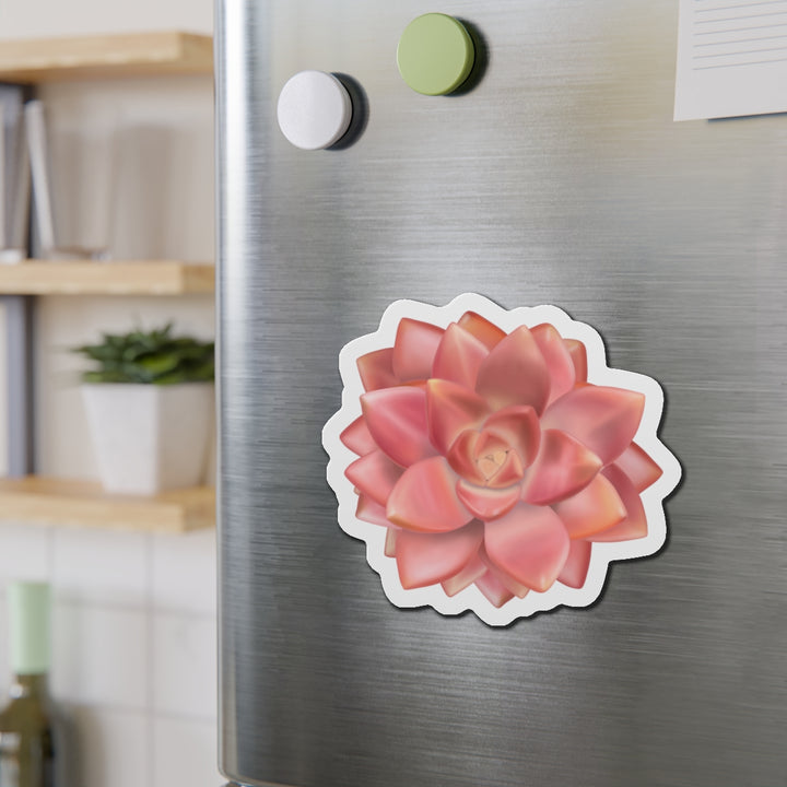 Graptosedum California Sunset Succulent Magnet