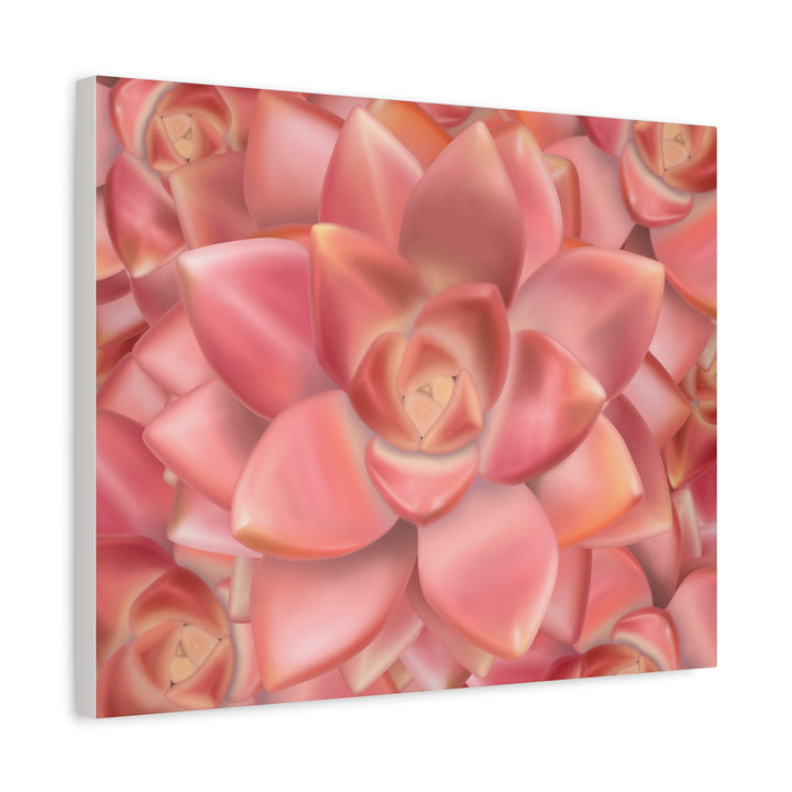 Graptosedum California Sunset Succulent Canvas Print – Botanical Wall Art - The Potted Pixel