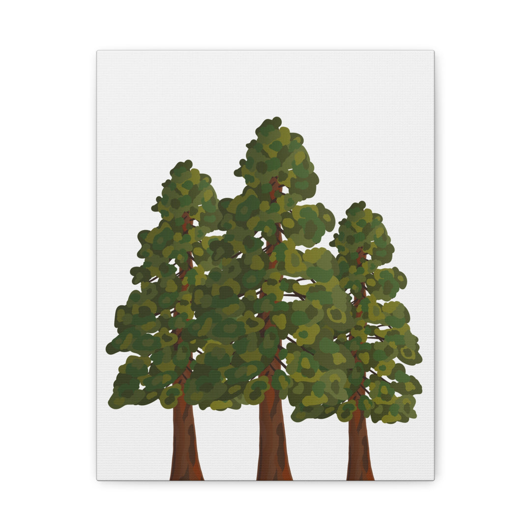 Coastal Redwoods Matte Canvas Print On 1.25 Inch Stretched Canvas For Serene Forest Wall Art In Living Rooms
