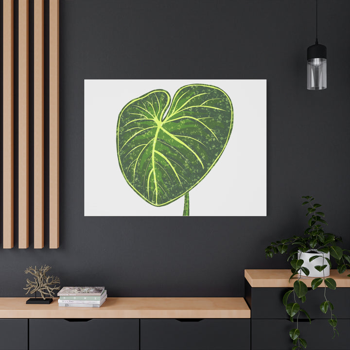 Philodendron Gloriosum Canvas Print Stretched Wall Art Botanical Leaf Print Matte Finish Gallery Wrapped Canvas