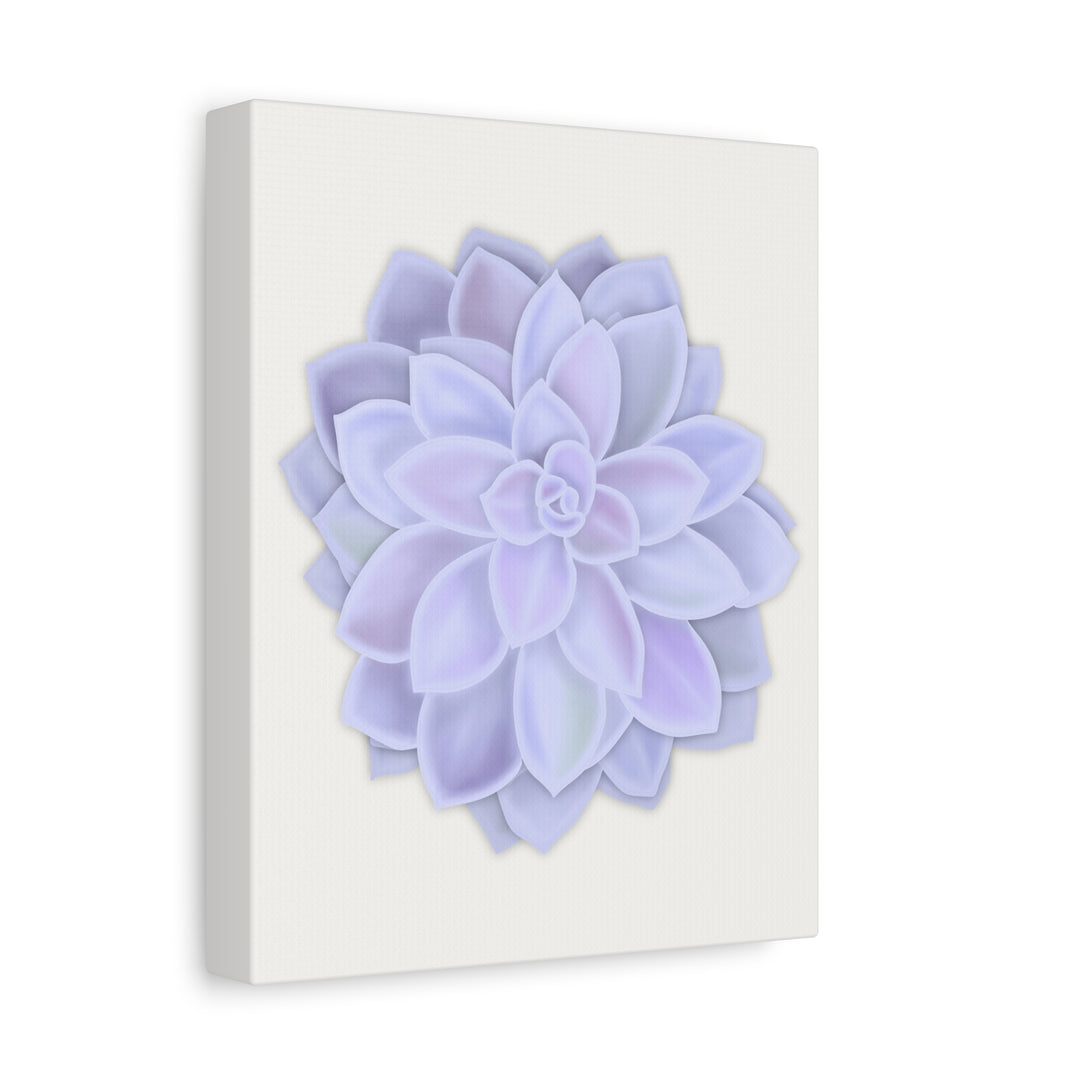 Succulent Canvas Art Pastel Rosette Canvas Durable Cotton Print Botanical Wall Art