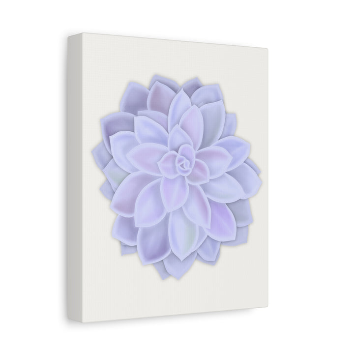 Succulent Canvas Art Pastel Rosette Canvas Durable Cotton Print Botanical Wall Art