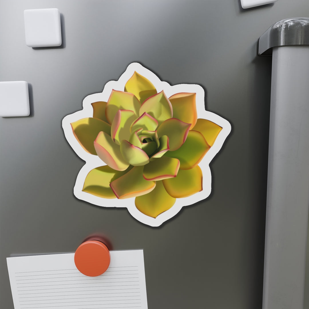 Noble Aeonium Succulent Magnet