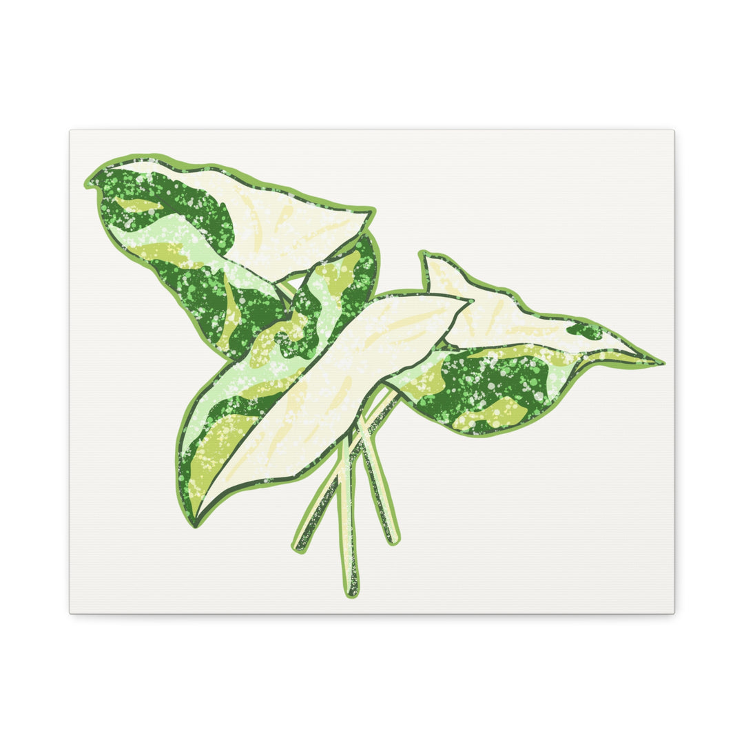 Marble Syngonium Canvas Botanical Wall Art Stretched Print On Durable Cotton Canvas Matte Finish