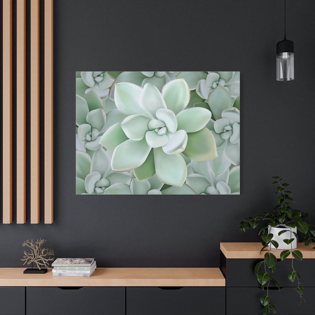 Pachyveria Haagei Succulent Pattern Canvas Art for Modern Home Decor 16x20 Matte Print