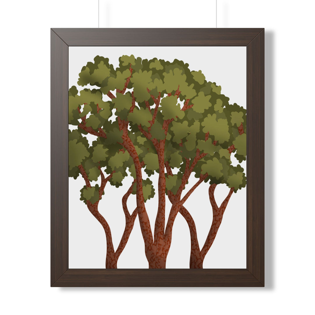 Pacific Madrone Framed Print – Wall Art