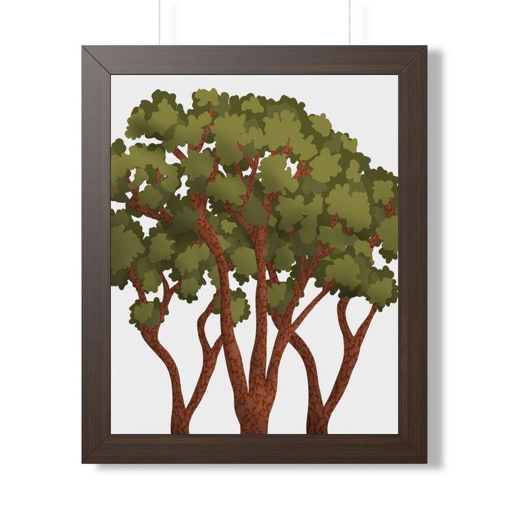 Pacific Madrone Framed Print – Wall Art