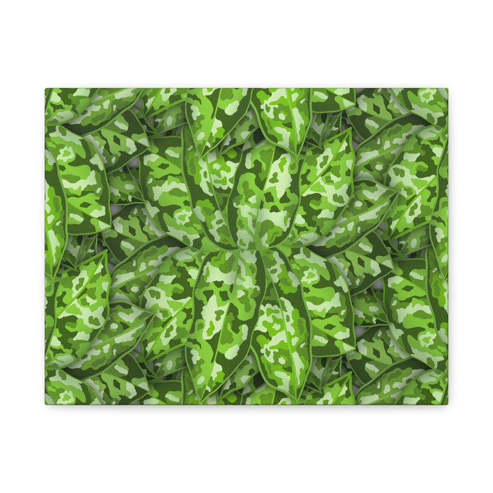 Aglaonema Pictum Canvas Wall Art Rare Plant Print Matte Finish For Modern Home Decor