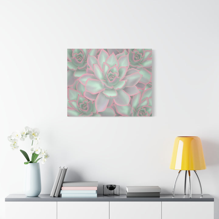 Echeveria Violet Queen Canvas Wall Art Succulent Print Matte Botanical Decor For Indoor Spaces