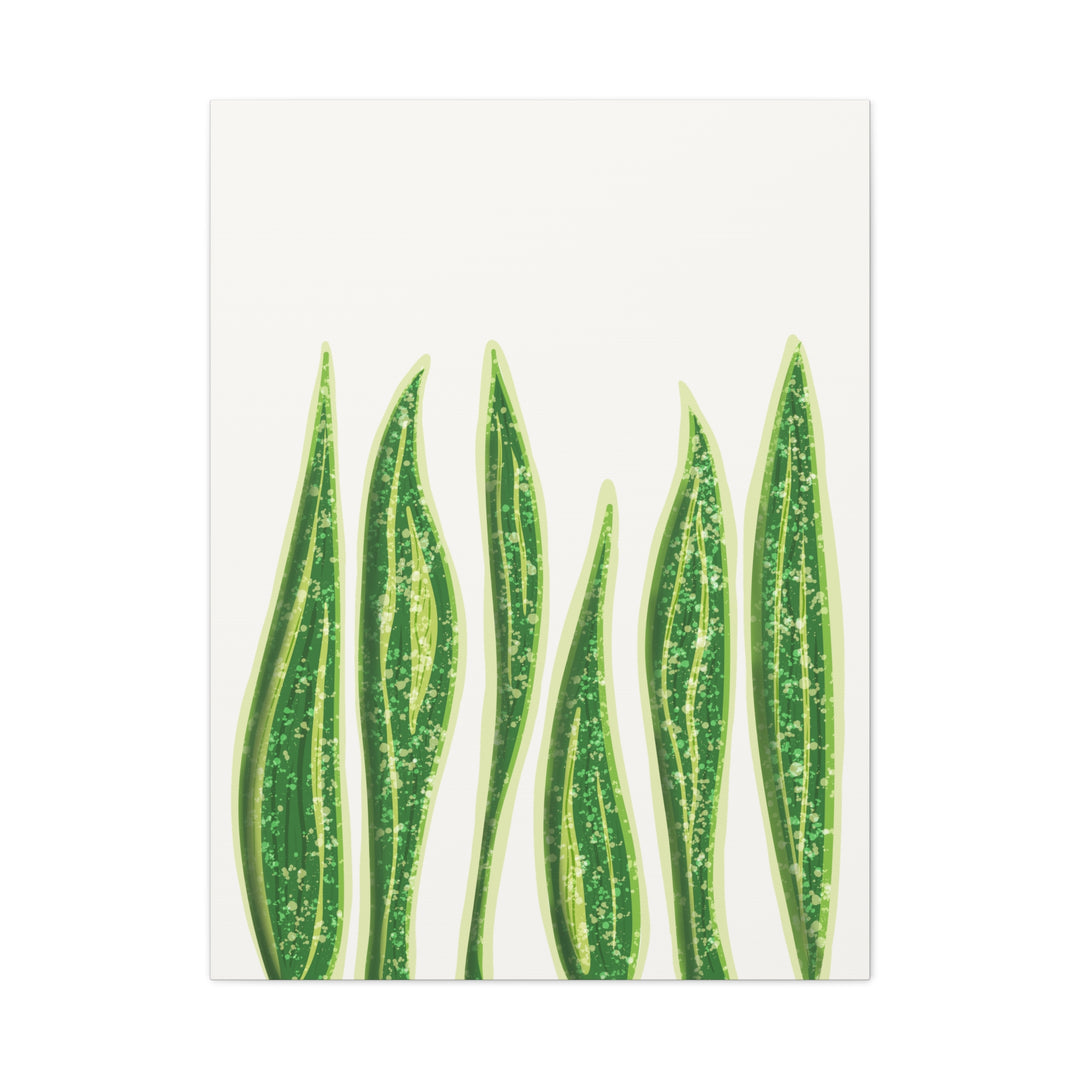 Snake Plant Canvas Print Matte 1.25 Inch Stretch Canvas Wall Art For Living Room Decor