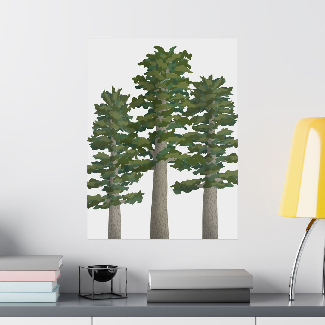 Sitka Spruce Print – Unframed Wall Art