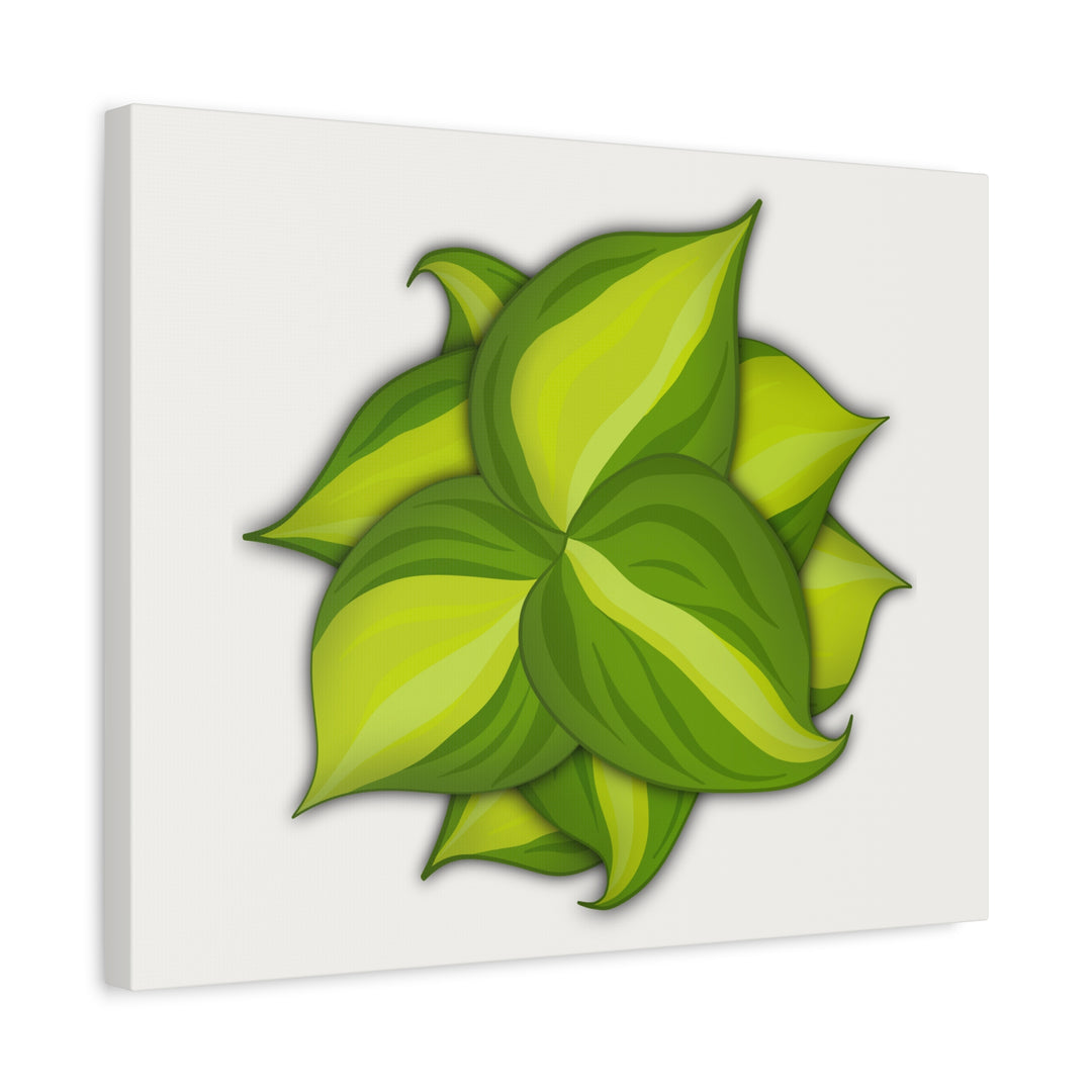 Philodendron Brasil Canvas Print Matte Stretched Canvas Indoor Plant Art For Modern Greenery Decor