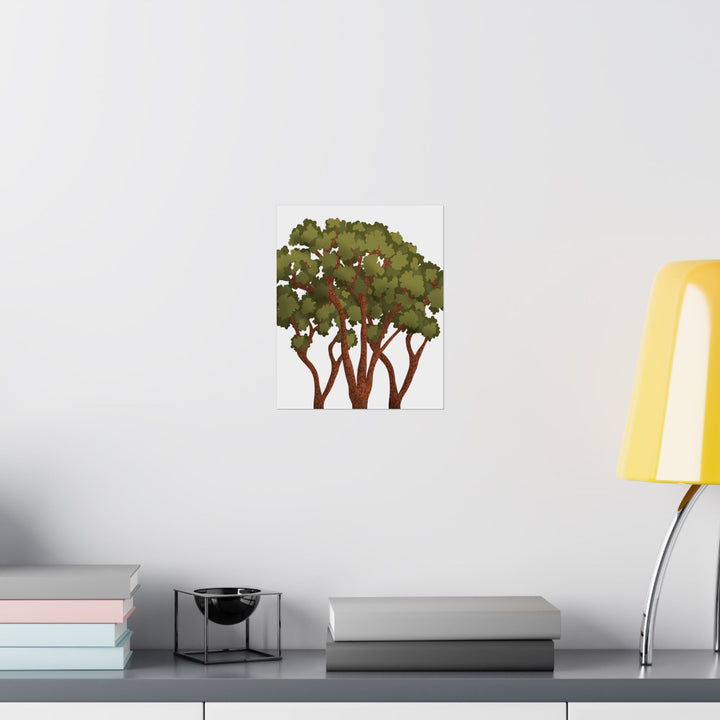 Pacific Madrone Print – Unframed Wall Art