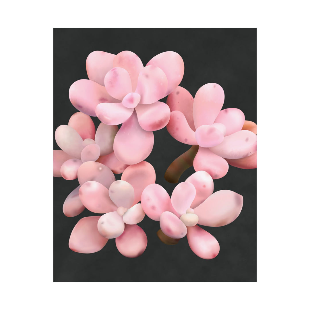 Pink Moonstone Botanical Print – Unframed Wall Art