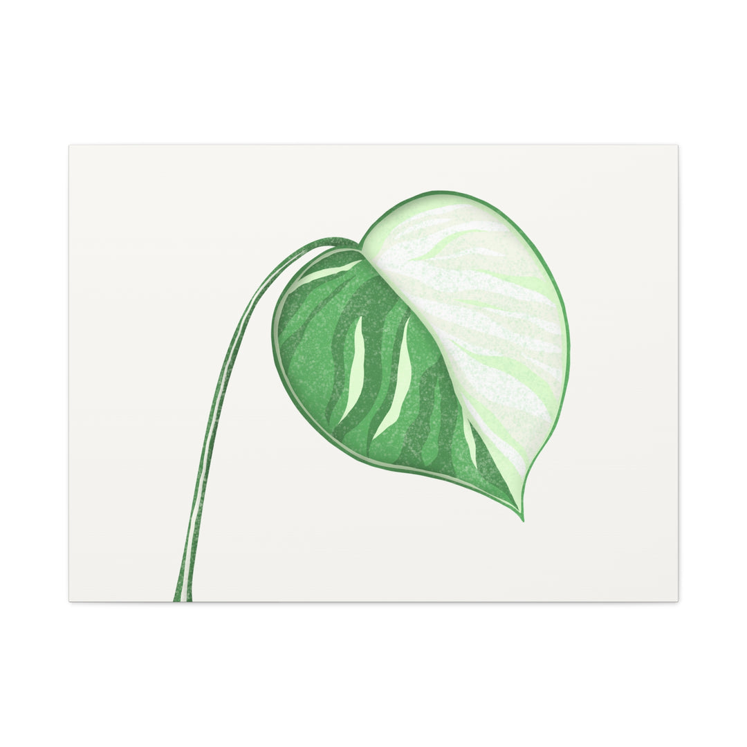 Monstera Albo Canvas Large Stretched Premium Quality Cotton Canvas Wall Art Tropical Leaf Poster Decor