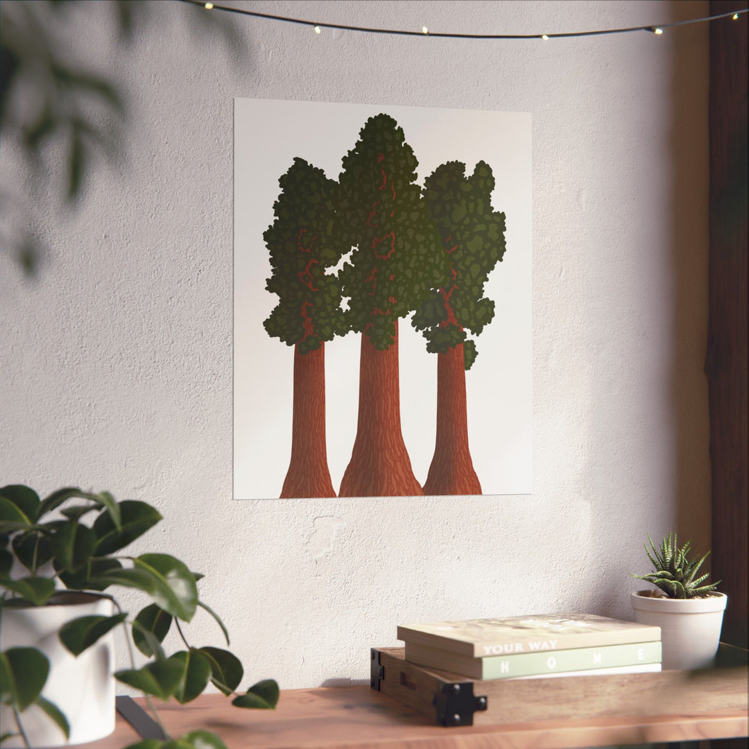 Giant Sequoias Print – Unframed Wall Art