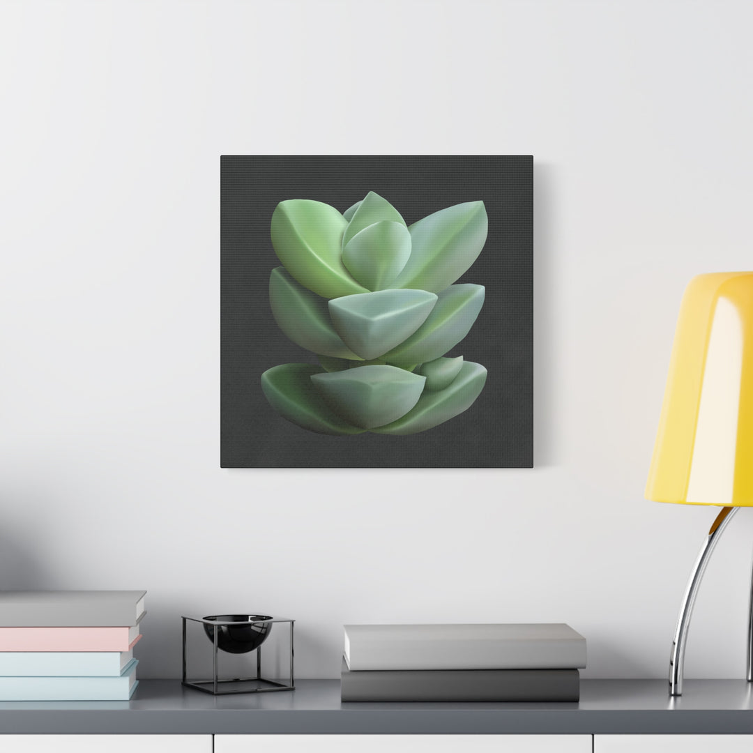 Crassula Canvas Print – Botanical Wall Art