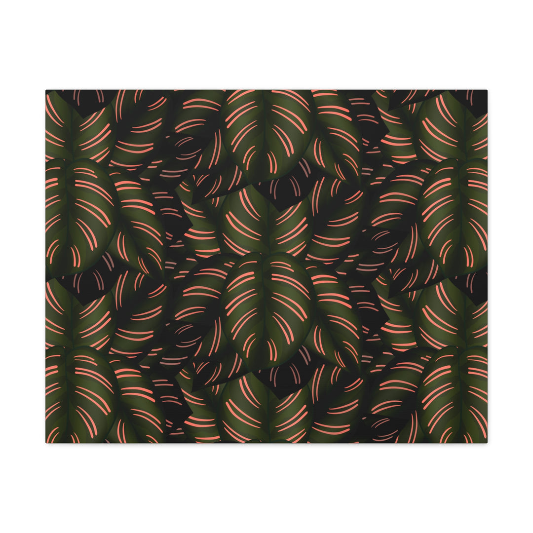 Calathea Pinstripe Canvas Print With Matte Finish Stretched Botanical Wall Art For Living Room Decor