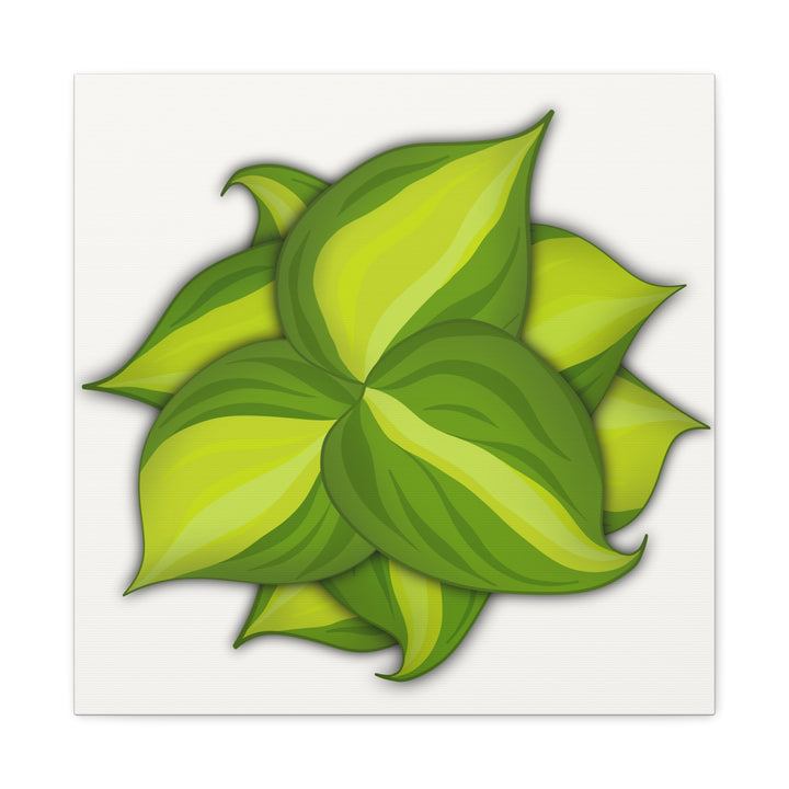 Philodendron Brasil Canvas Print Matte Stretched Canvas Indoor Plant Art For Modern Greenery Decor