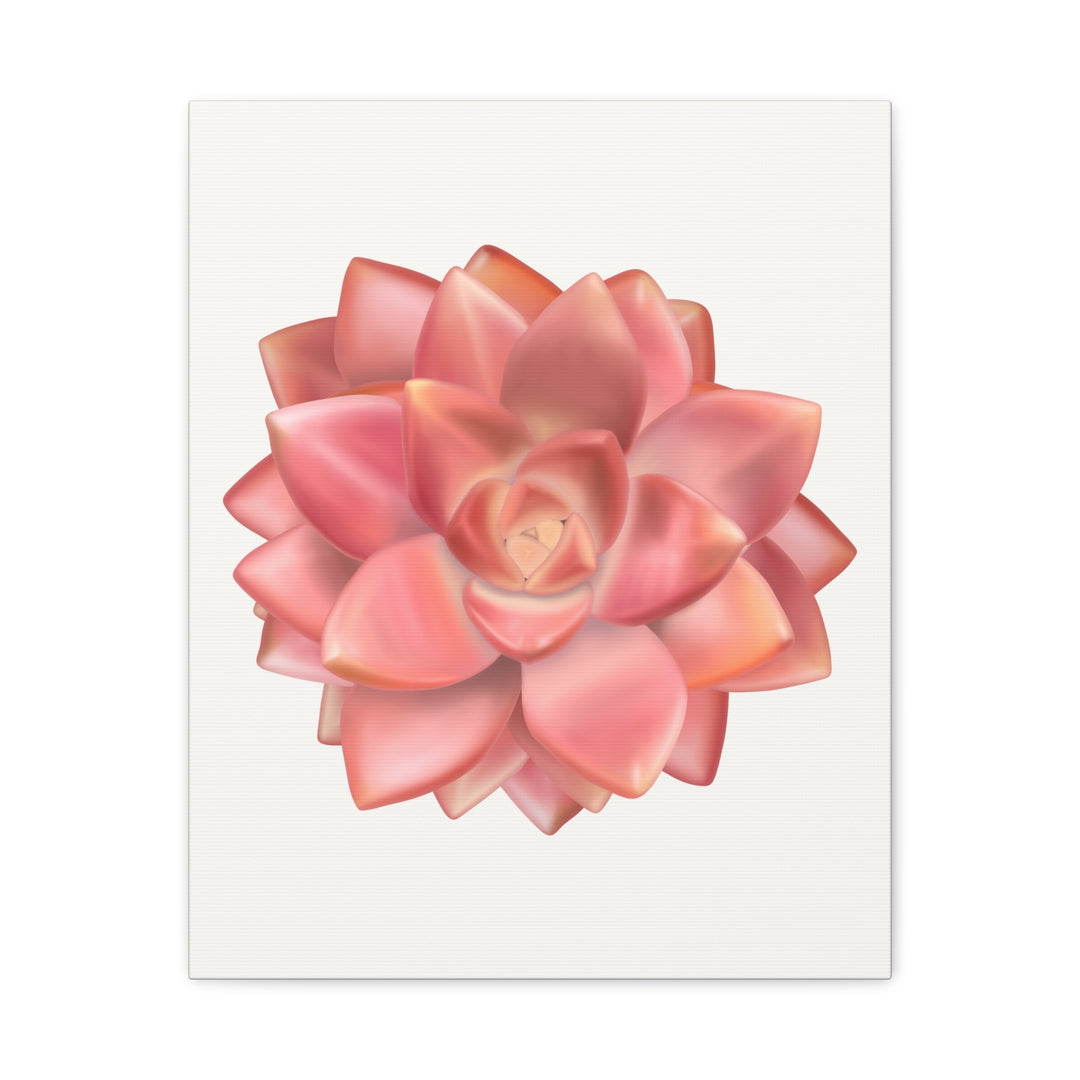 Succulent Canvas Art California Sunset Rosette Botanical Wall Art Print The Potted Pixel