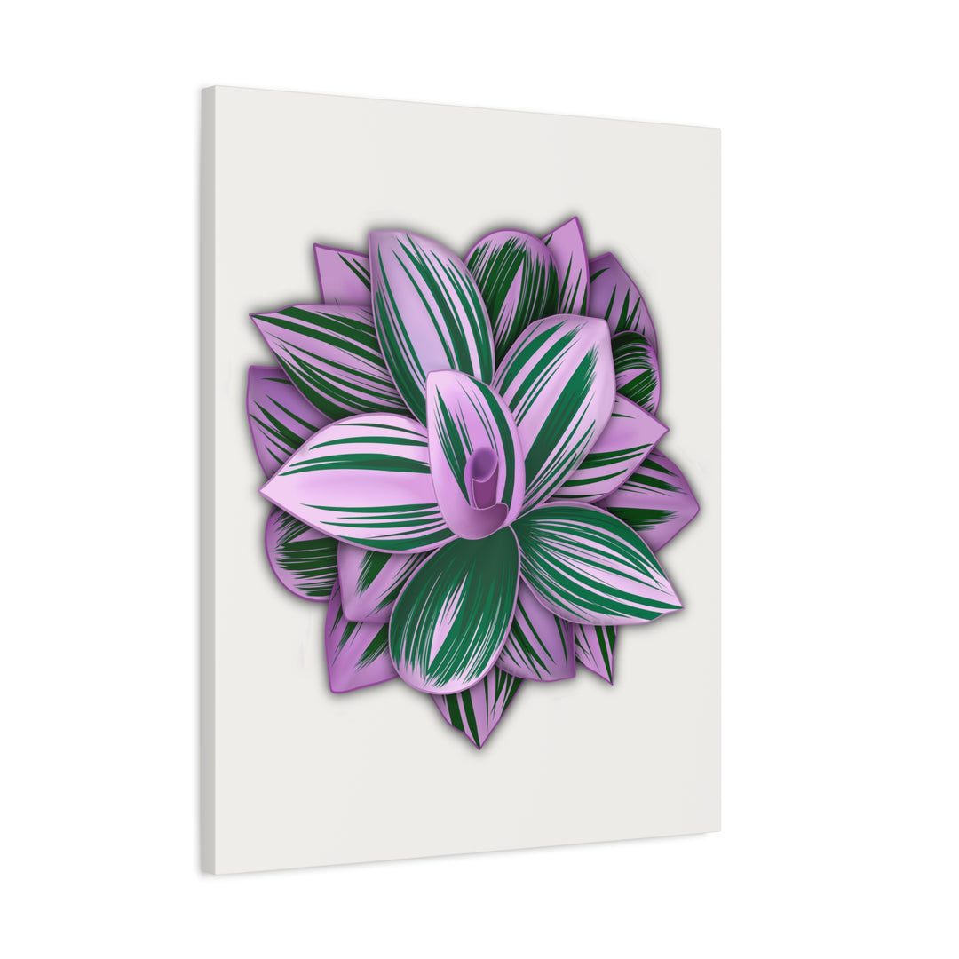 Tradescantia Nanouk Canvas Botanical Wall Art Print Pink Green Foliage On Stretched Cotton Canvas