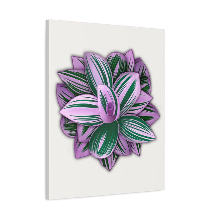 Tradescantia Nanouk Canvas Botanical Wall Art Print Pink Green Foliage On Stretched Cotton Canvas