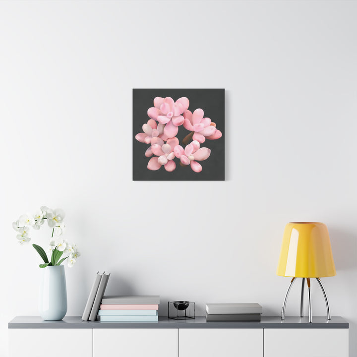 Pink Moonstone Canvas Print – Botanical Wall Art