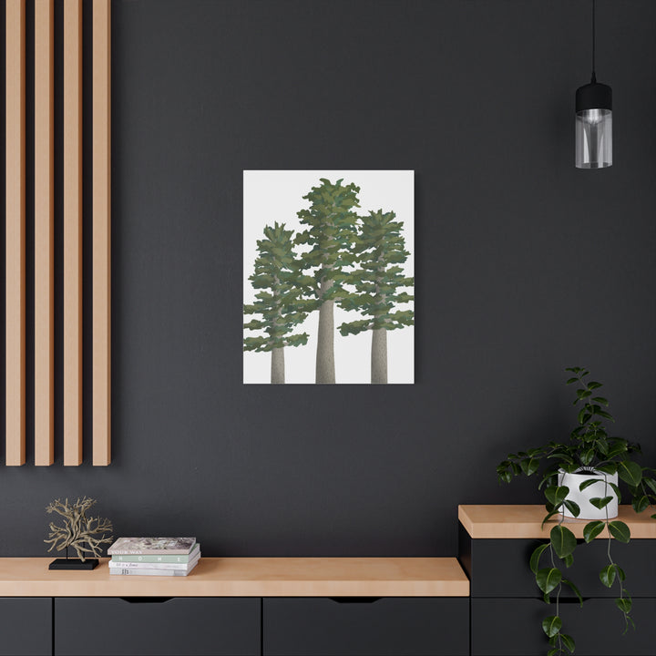 Sitka Spruce Canvas Print – Wall Art