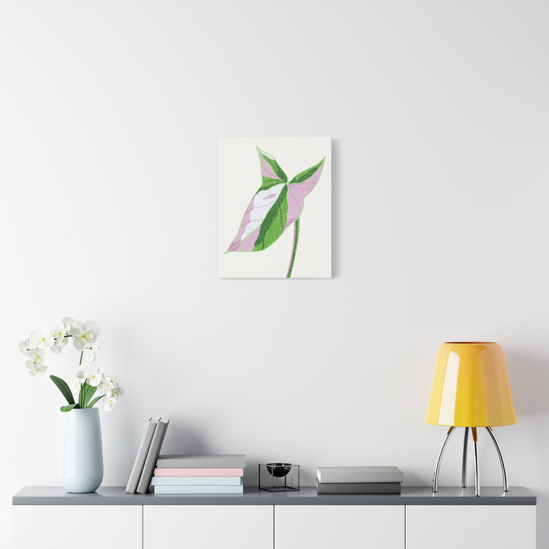 Syngonium Tricolor Canvas Print – Botanical Wall Art - The Potted Pixel