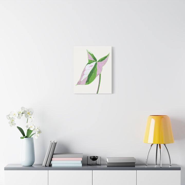 Syngonium Tricolor Canvas Print – Botanical Wall Art - The Potted Pixel