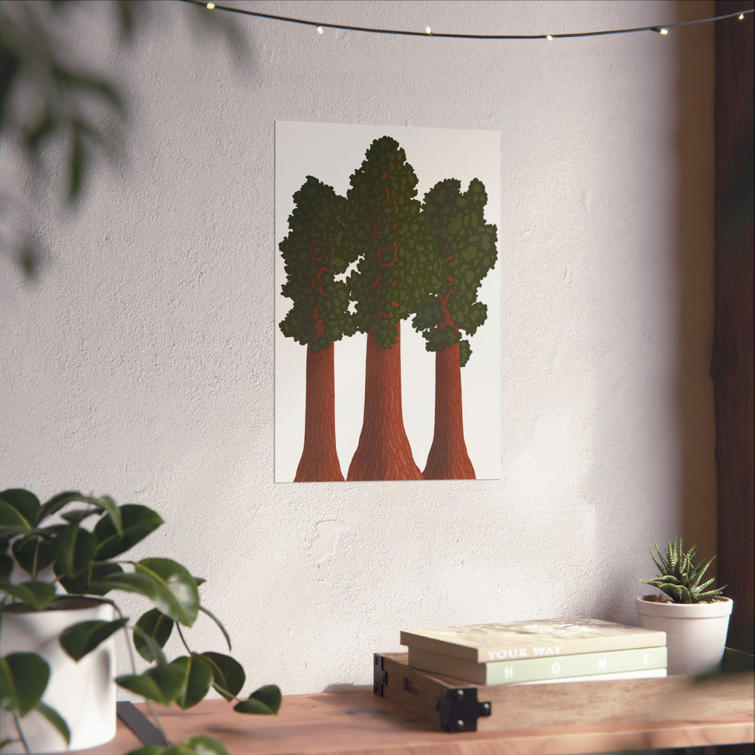 Giant Sequoias Print – Unframed Wall Art