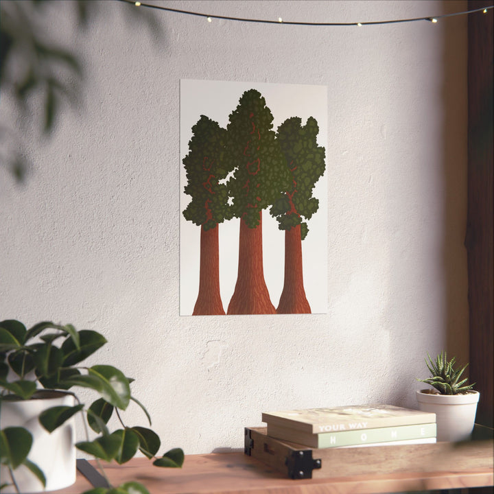 Giant Sequoias Print – Unframed Wall Art