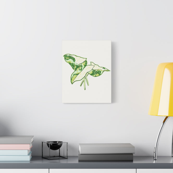 Marble Syngonium Canvas Botanical Wall Art Stretched Print On Durable Cotton Canvas Matte Finish