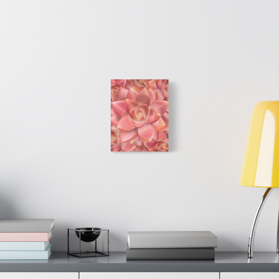 Graptosedum California Sunset Succulent Canvas Print – Botanical Wall Art - The Potted Pixel