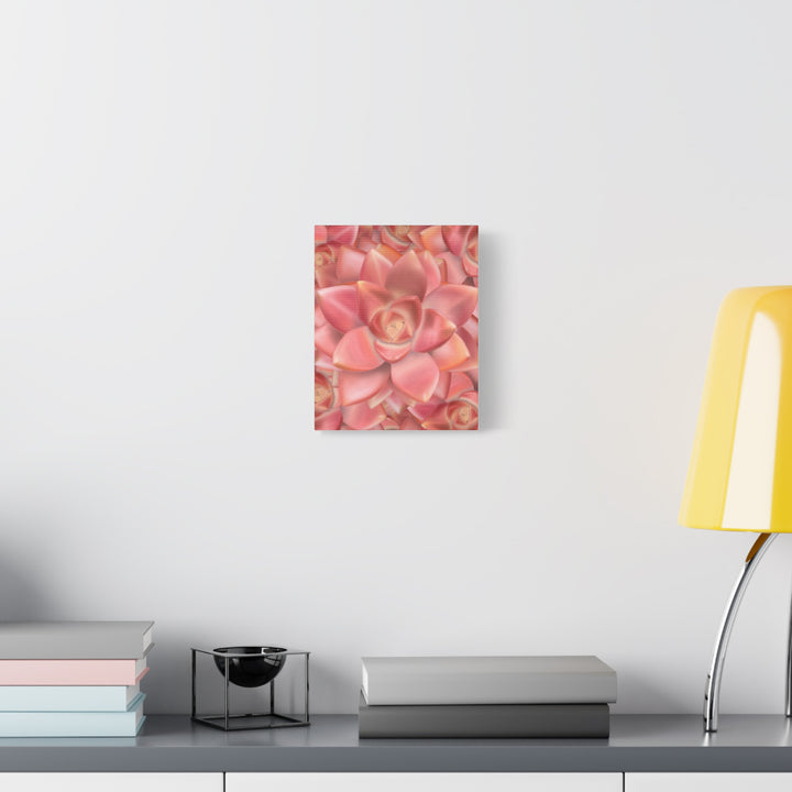 Graptosedum California Sunset Succulent Canvas Print – Botanical Wall Art - The Potted Pixel