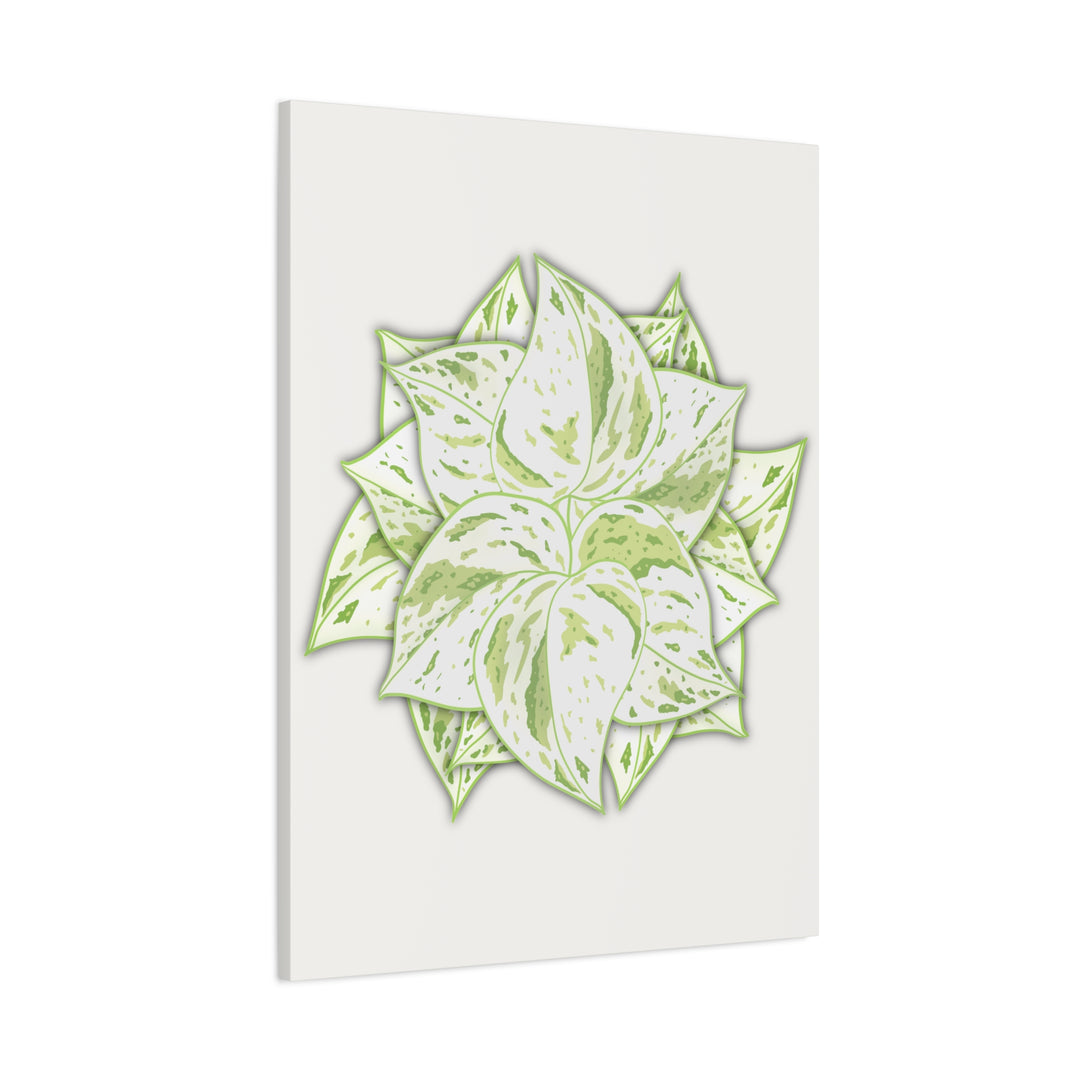 Snow Queen Pothos Canvas Wall Art Variegated Indoor Plant Leaf Poster Print Cotton Canvas