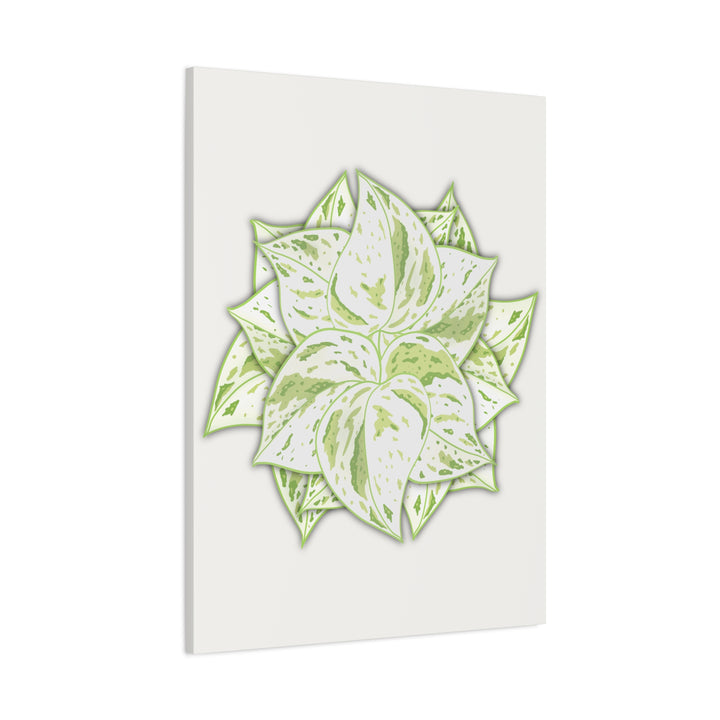 Snow Queen Pothos Canvas Wall Art Variegated Indoor Plant Leaf Poster Print Cotton Canvas