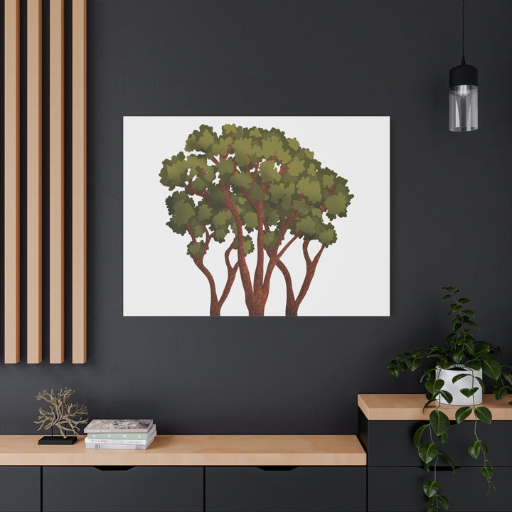 Pacific Madrone Canvas Print – Wall Art